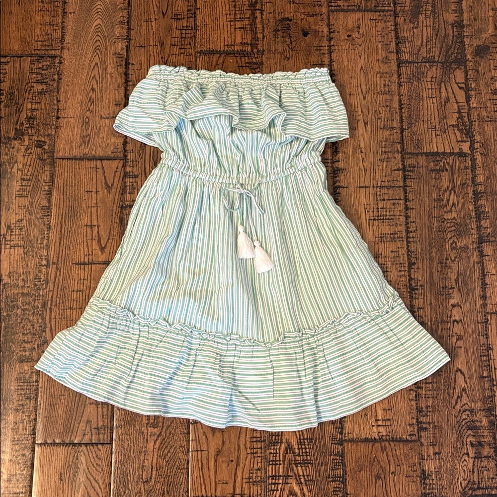 American Eagle Outfitters Green Striped Sun Dress